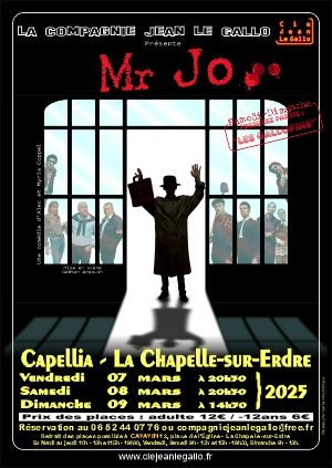 Affiche Mr Jo